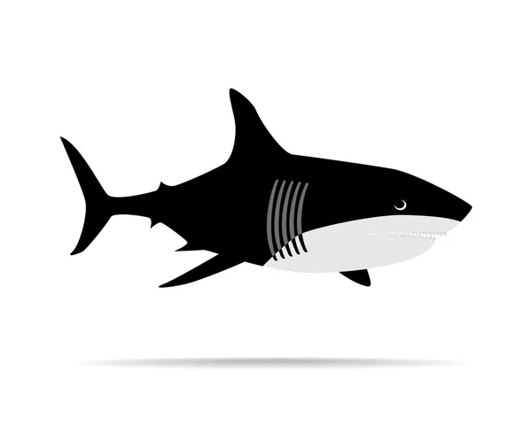 Shark — Stock Photo, Image