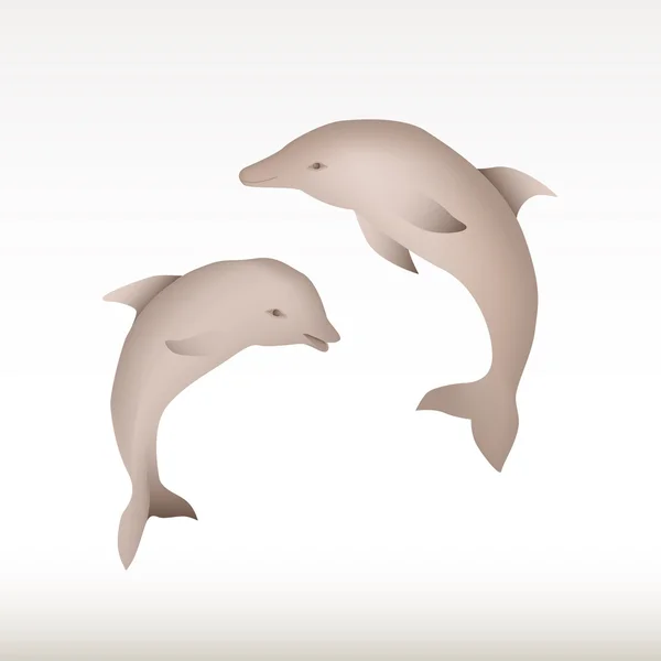 Coppia di delfini — Foto Stock