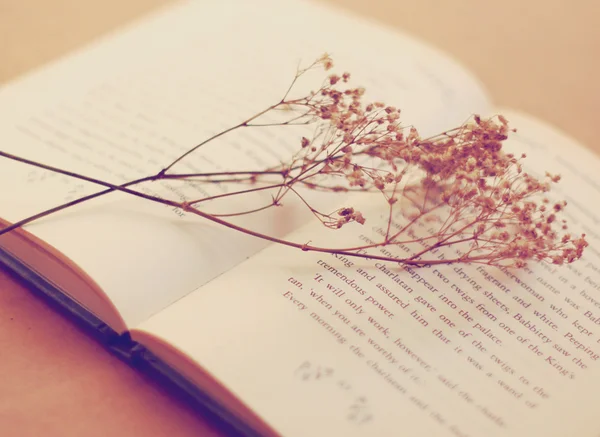 Book with flowers — Stock Photo, Image