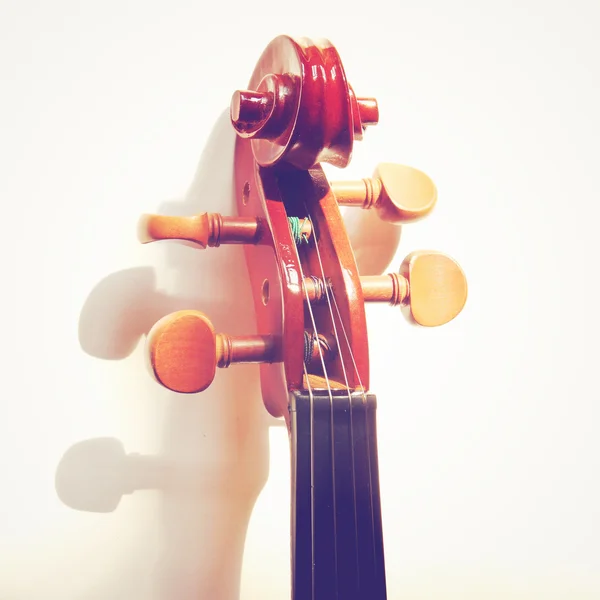 Testa di violino — Foto Stock