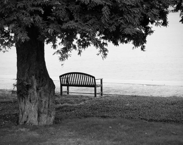 Park bench — Stock Photo, Image