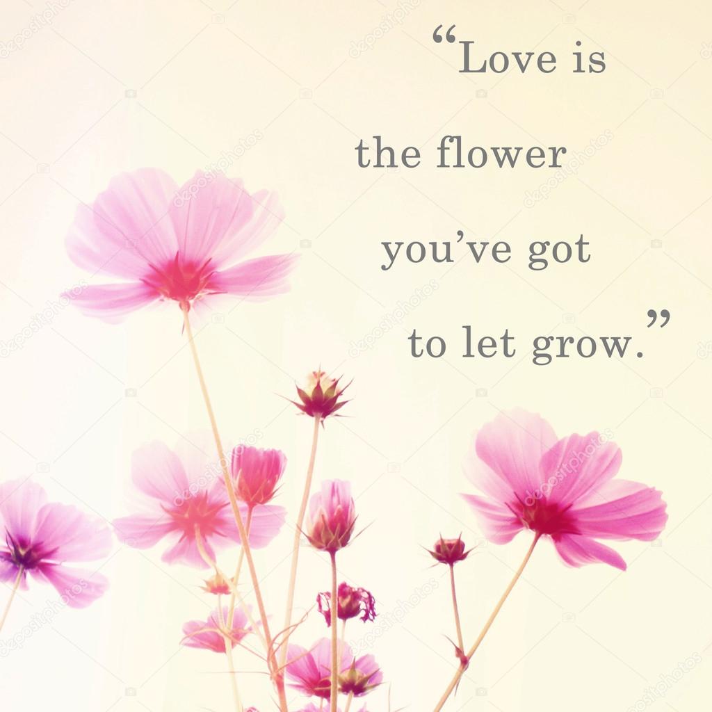 Inspirational quote word by John Lennon and pink blossom flowers