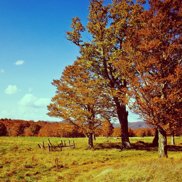 Bienvenue à la saison d'automne avec effet filtre rétro — Photo