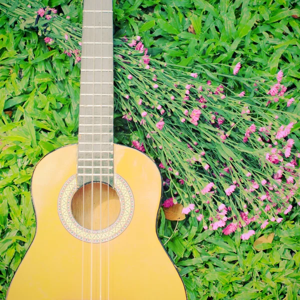 Guitarra Ukulele sobre hierba verde con flor —  Fotos de Stock