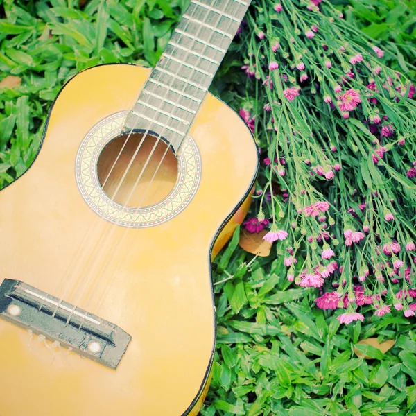 Guitarra Ukulele sobre hierba verde con flor —  Fotos de Stock