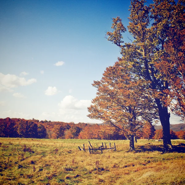 Jesienny sezon — Zdjęcie stockowe