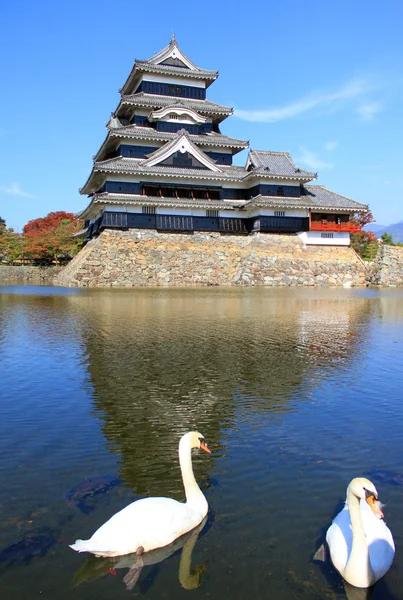 Castelo e dois cisnes — Fotografia de Stock