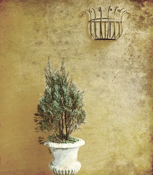 Växter i vintage vas — Stockfoto