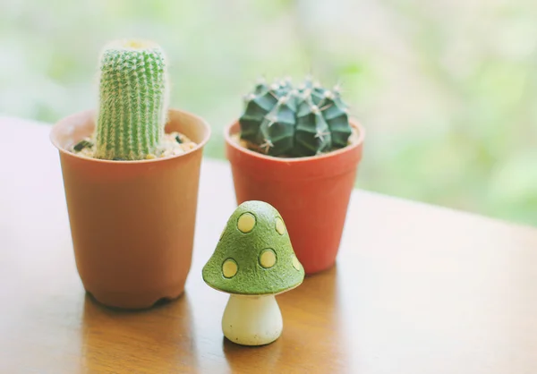 Cactus with mushroom model — Stock Photo, Image