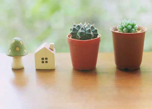 Kaktus mit kleinem Haus — Stockfoto