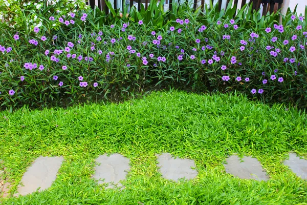 Stone walkway — Stock Photo, Image