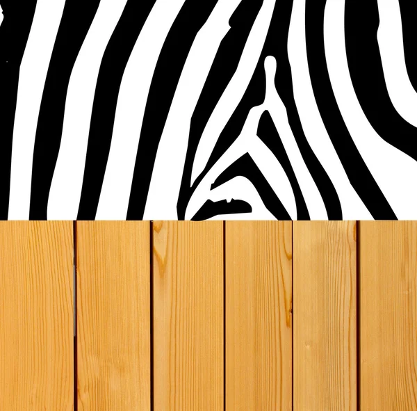 Zebra skin — Stock Photo, Image