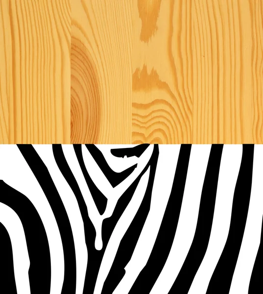 Pele de zebra — Fotografia de Stock