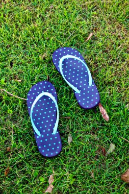 sandal çimenlerin üzerinde