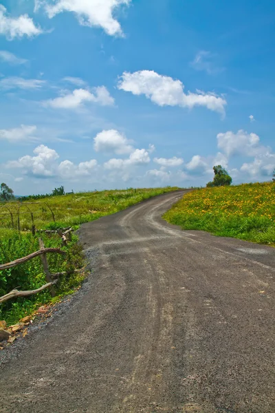 Estrada a colina — Fotografia de Stock