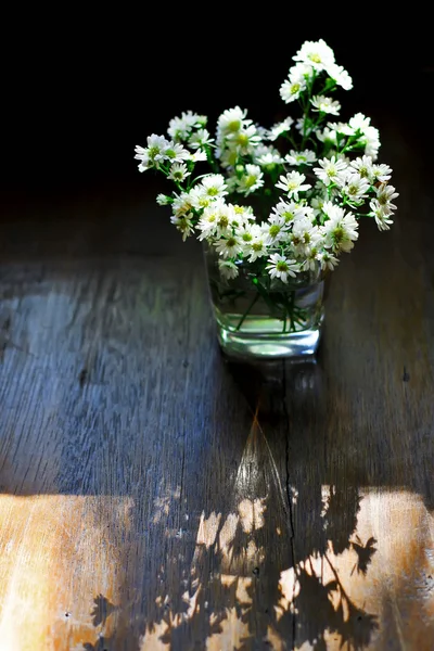 Bloem in glas — Stockfoto