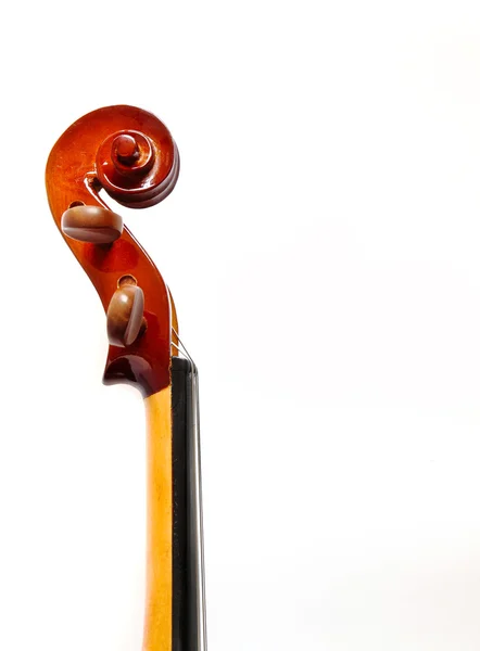 Details of violin — Stock Photo, Image