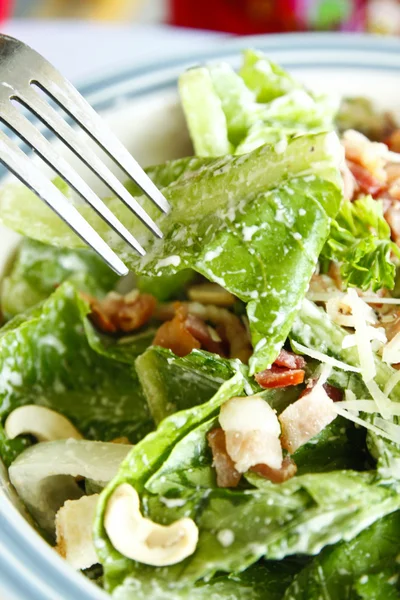 Salada Caesar — Fotografia de Stock