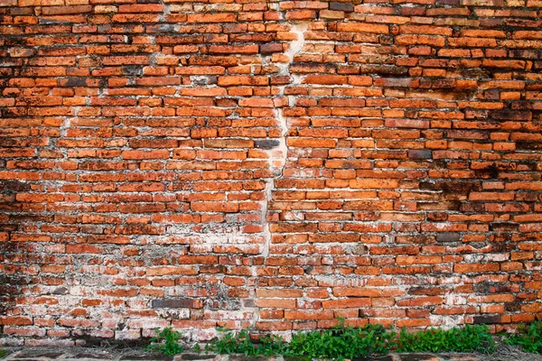 Gamla tegelväggen — Stockfoto