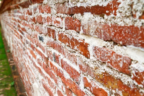 Alte Mauer — Stockfoto