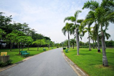Park yolu