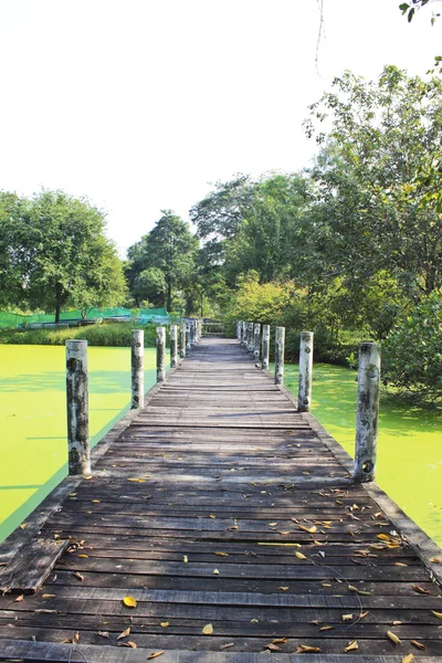 Ponte sobre o lago — Fotografia de Stock