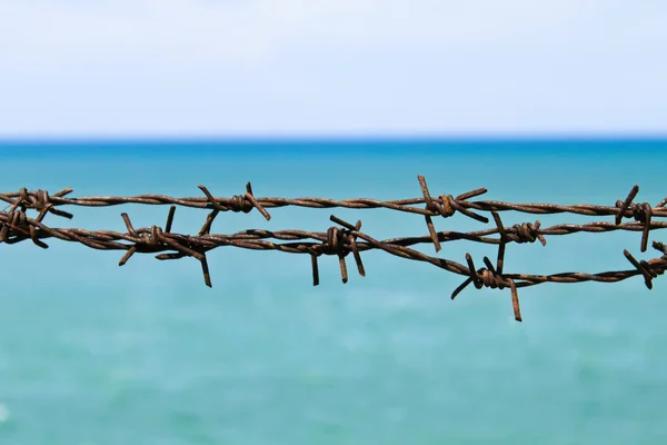 Cerca de alambre — Foto de Stock