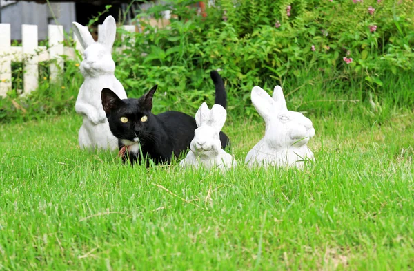 Gato y estatua — Foto de Stock