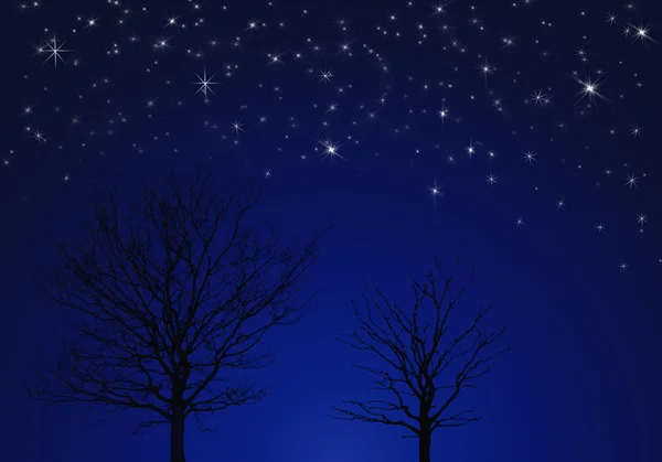 Ağaçların altında yıldızlar — Stok fotoğraf