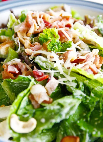 Heerlijke cesar salade — Zdjęcie stockowe