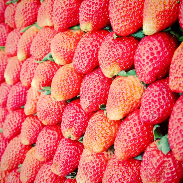 Row of fresh strawberry — 图库照片