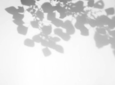 Organik, ürün sunumu, arkaplan ve modelleme üzerine kaplama için, beyaz dokuma arka planı üzerinde doğal gölge etkisi bırakır