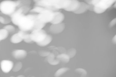 Bokeh güneş ışığı, ürün sunumu, arkaplan ve modelleme üzerine kaplama için, beyaz doku arka planı üzerine doğal gölgedir