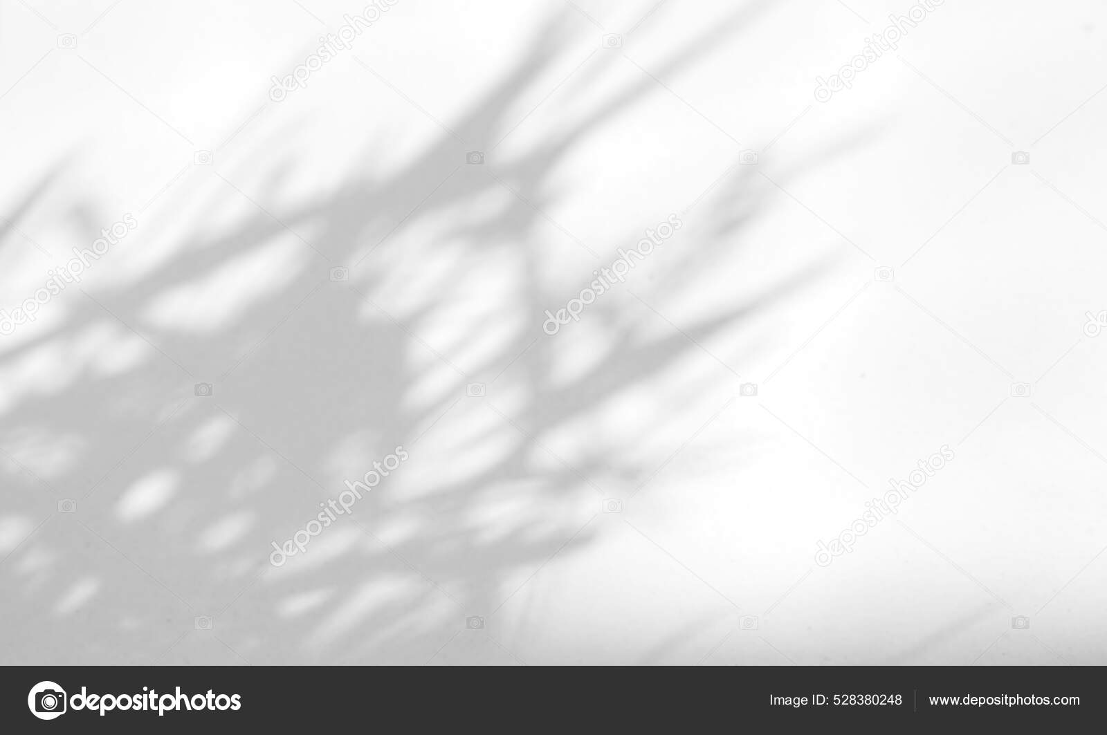 叶的自然阴影覆盖在白色纹理背景上用于产品演示背景和模型夏季季节概念的覆盖——图库图片© nuchylee #528380248, image size:1600x1063