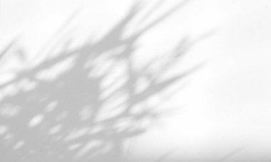 Ürün sunumu, arkaplan ve maketi, yaz mevsimi konseptini kaplamak için, beyaz doku arka planında doğal gölge bırakır