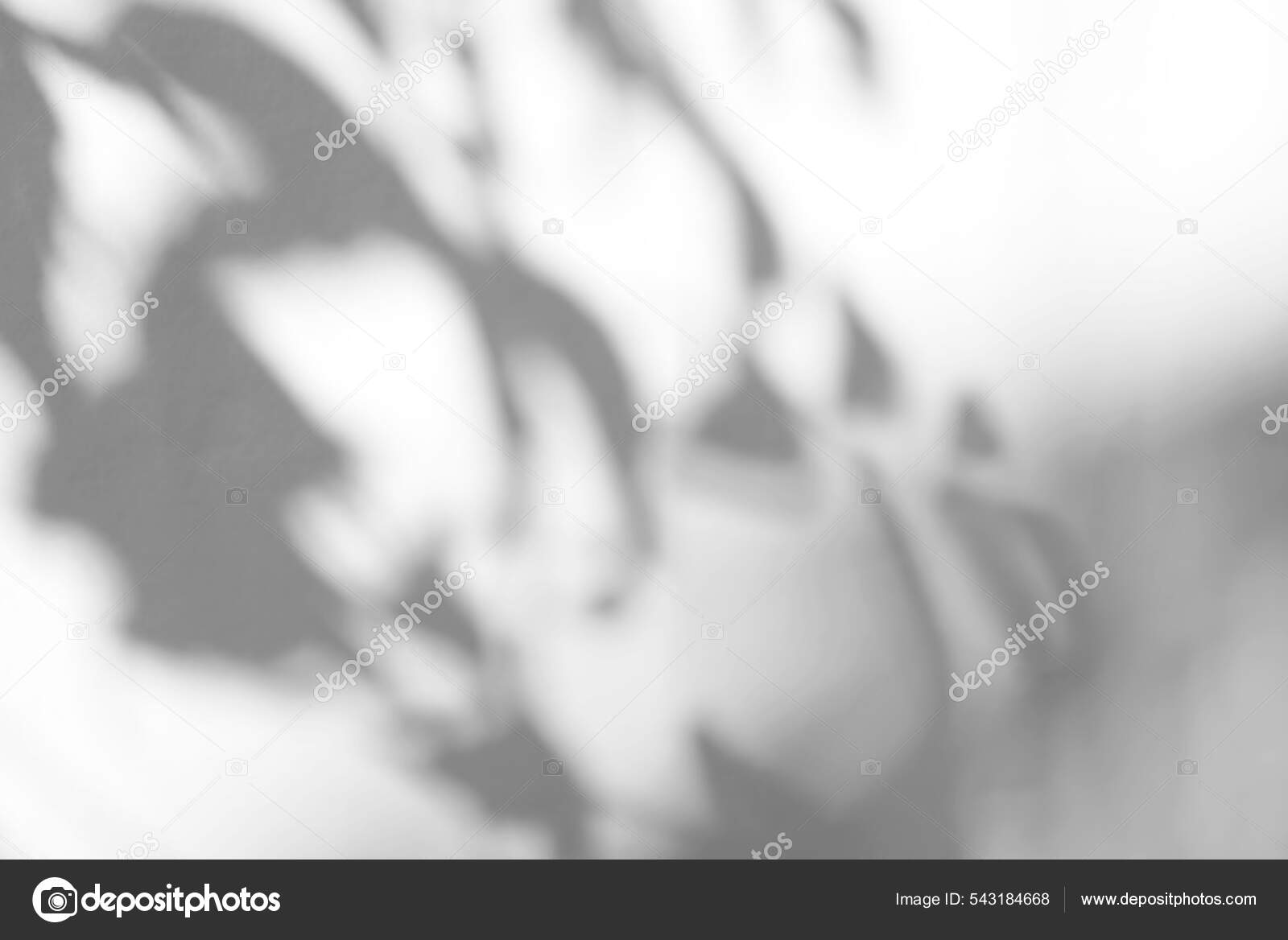 21万White with hexagon 免版税图片、库存照片和图像| Shutterstock, image size:1600x1168