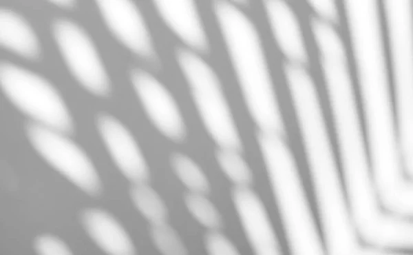 Deixa Sobreposição Sombra Natural Sobre Fundo Textura Branca Para Sobreposição — Fotografia de Stock