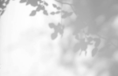 Özet, ürün sunumu, arkaplan ve modelleme üzerine kaplama için, beyaz dokuma arkaplanı üzerine doğal gölge örtüsü bırakır