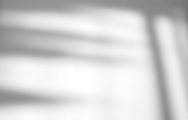 Pencere doğal gölge etkisi beyaz doku arka plan üzerinde, ürün sunumu, arkaplan ve modelleme, yaz mevsimi konsepti üzerine örtülmesi için