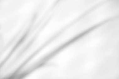 Organik, ürün sunumu, arkaplan ve kopyalama alanı ile örtüşmesi için beyaz dokuya doğal gölge örtüsü bırakır