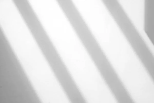 Superposición Sombra Ventana Orgánica Sobre Fondo Textura Blanca Para Superposición — Foto de Stock