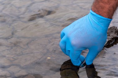 Analiz için nehirden örnek su. Bir test tüpü tutan eldiven. Ekoloji konsepti.