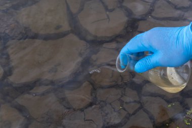Nehirden bir su örneği. Eldiven takıp test tüpünde su topluyor. ekoloji kavramı