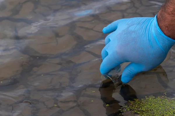 A water sample from the river. Hand in glove collects water in a test tube. ecology concept