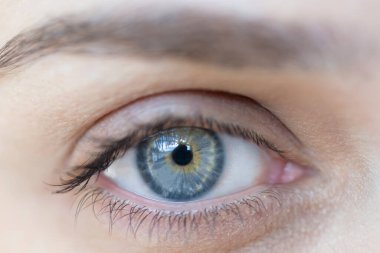 İnsan gözü makro görüntüsü. Kadın mavi göz