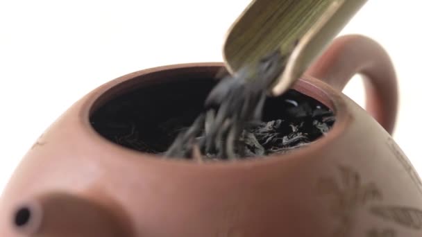 Process Brewing Tea Clay Teapot Tea Ceremony Japan China — Vídeo de stock