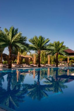Lüks tropik tatil köyünde yüzme havuzu. Lüks tropikal tatil beldesindeki plaj salonlarıyla yüzme havuzu..