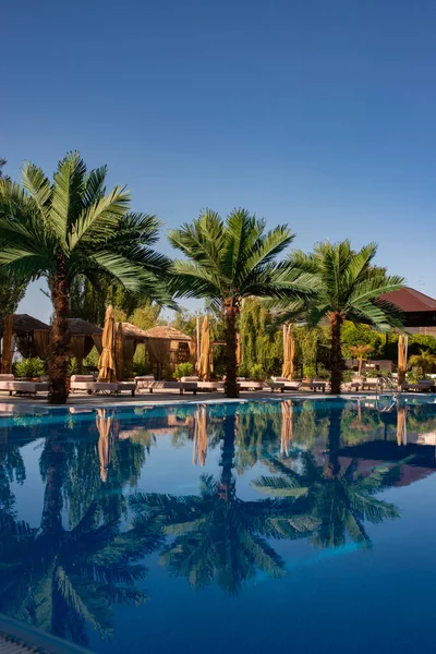 Lüks tropik tatil köyünde yüzme havuzu. Lüks tropikal tatil beldesindeki plaj salonlarıyla yüzme havuzu..