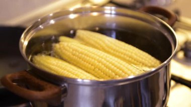 Corn in a saucepan with boiling water