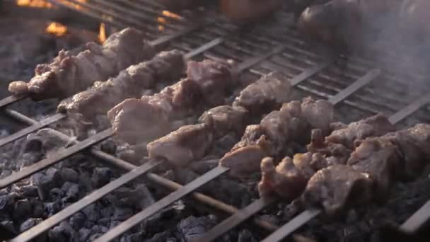 Cooking Fresh Pork Skewers Charcoal — Stockvideo